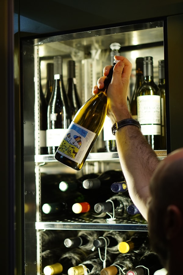 Bosch Wine Cooler KWK36AK35